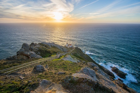 Bay Area day trips: Summertime in Marin County