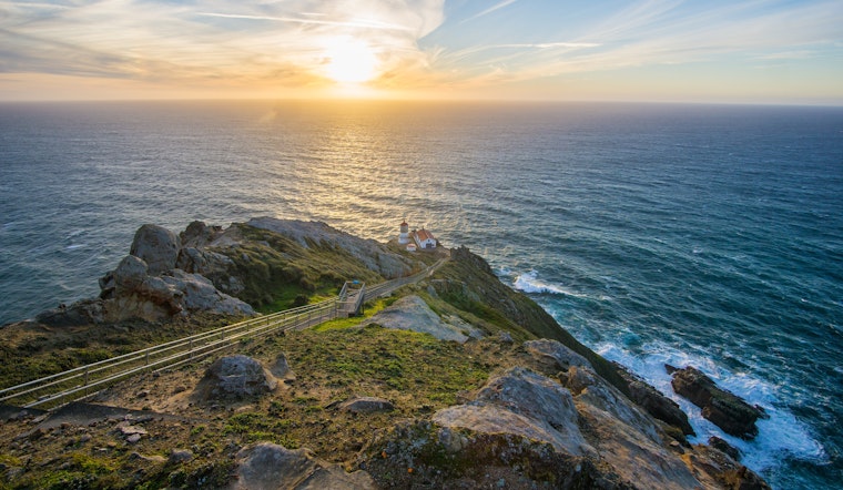 Bay Area day trips: Summertime in Marin County
