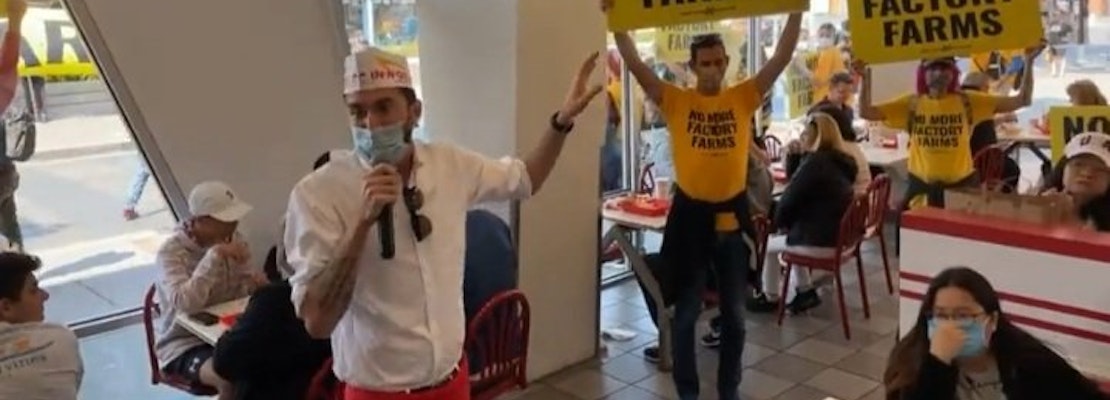Animal rights activist invade Fisherman’ Wharf In-N-Out to protest factory farming