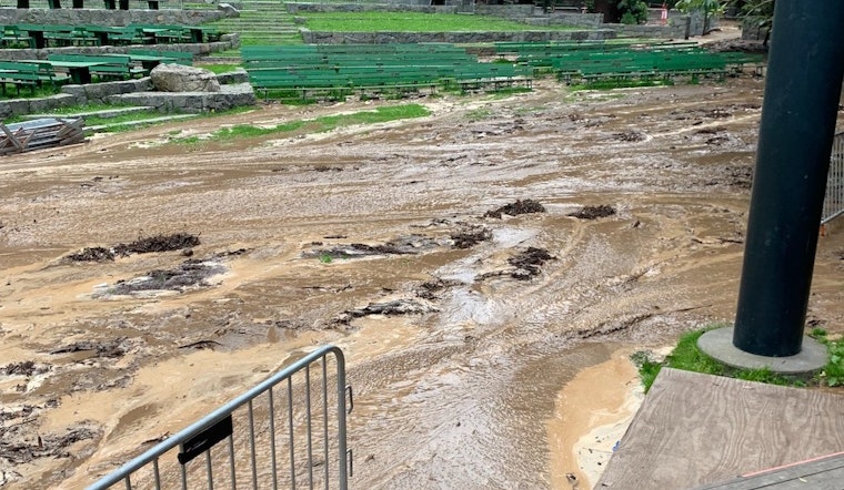 Stern Grove’s $4 million mud cleanup is underway