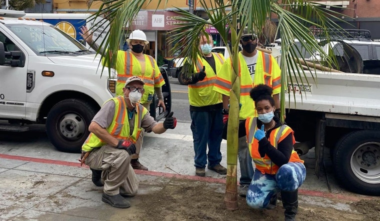 After two-year delay, Public Works replants vandalized and dead Castro Street palms