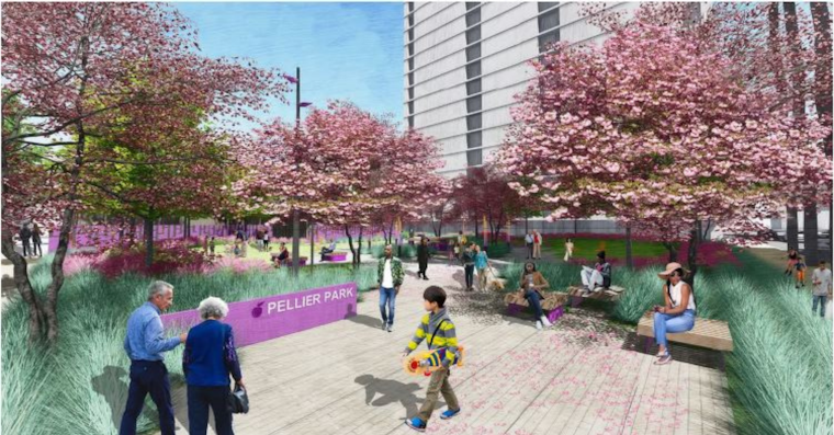 Trees in San Jose that were expected to be moved by the city get cut down; one still standing