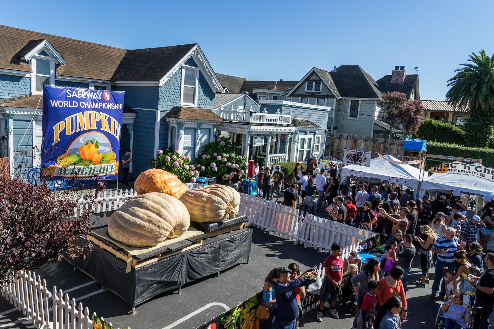 Big blow to non-profits as famous Bay Area pumpkin festival is