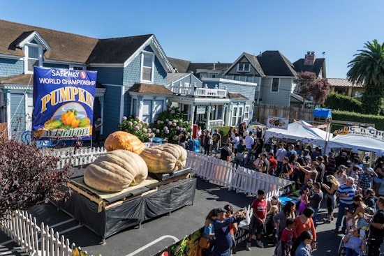 Big blow to non-profits as famous Bay Area pumpkin festival is canceled for second year