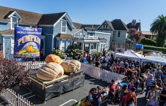 Big blow to non-profits as famous Bay Area pumpkin festival is canceled for second year