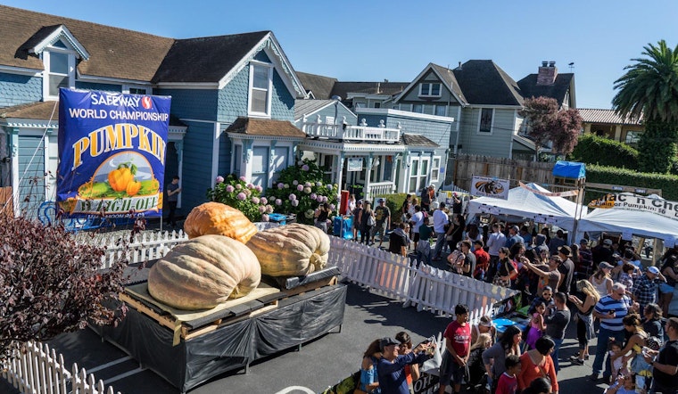 Big blow to non-profits as famous Bay Area pumpkin festival is canceled for second year