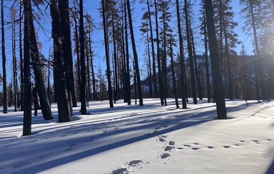 Bay Area day trips: Winter excursions out of doors