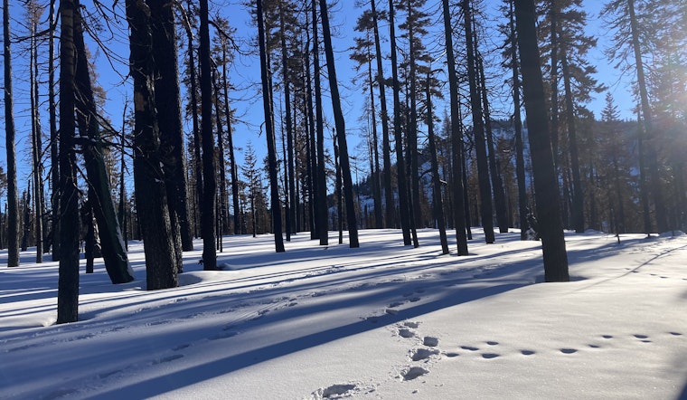 Bay Area day trips: Winter excursions out of doors