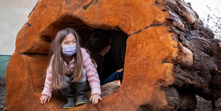 New nature-focused children’s play area opens at California Academy of Sciences