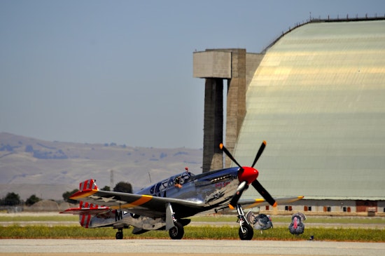Mountain View to move wild turkeys that have been causing trouble at Moffett Field's Ames Research Center