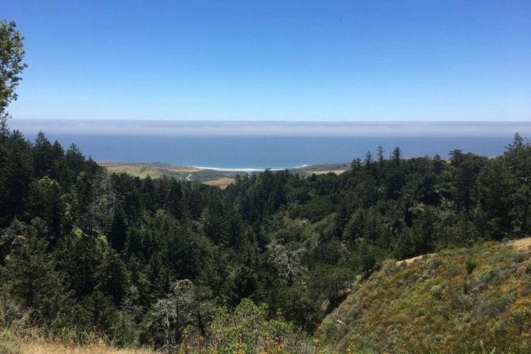 New 8.5 mile peak to ocean trail in the Santa Cruz Mountains set to