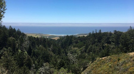 New 8.5 mile peak-to-ocean trail in the Santa Cruz Mountains set to open soon