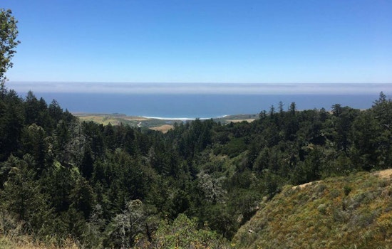 New 8.5 mile peak-to-ocean trail in the Santa Cruz Mountains set to open soon
