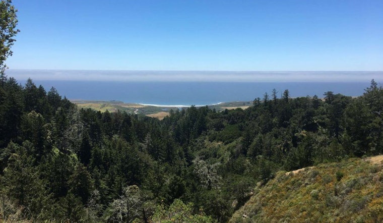 New 8.5 mile peak-to-ocean trail in the Santa Cruz Mountains set to open soon