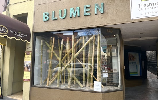 Castro floral art studio 'Blumen' set to close after nearly 4 years