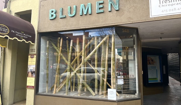 Castro floral art studio 'Blumen' set to close after nearly 4 years