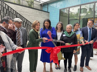 Nancy Pelosi on hand for grand opening of 143-unit affordable housing complex in the Mission