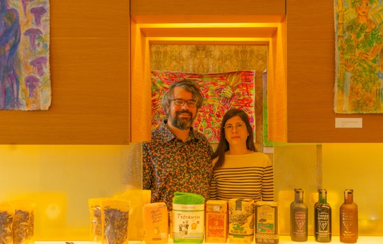 Professor Seagull's Smartshop, selling psychedelic plants and such, lands in North Beach