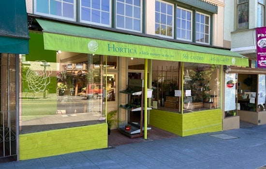 Castro nursery and garden shop Hortica set to close after nearly 30 years