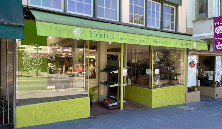 Castro nursery and garden shop Hortica set to close after nearly 30 years