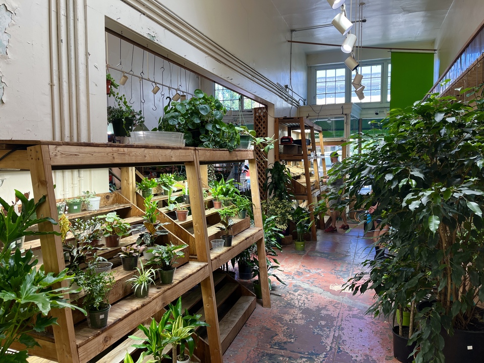 Castro nursery and garden shop Hortica set to close after nearly 30