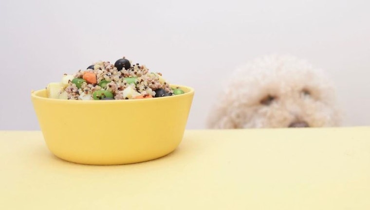 Sunnyvale family turns hand-made dog food idea into a full-fledged startup