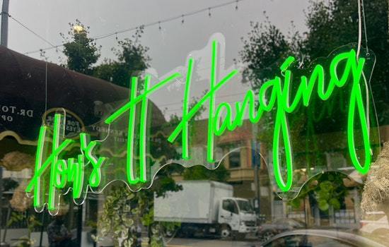Inside Castro's newest plant shop How's It Hanging