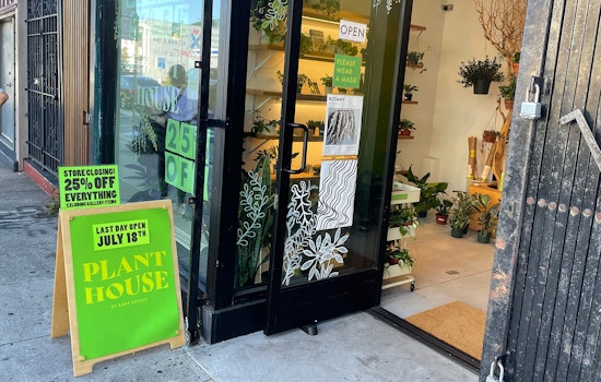 Rare Device's plant store on Divisadero is closing after just eight months