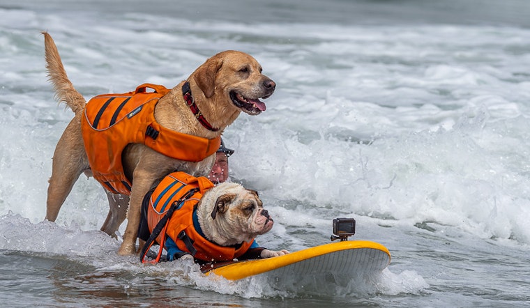 Bay Area Summertime Happenings 8/5-8/7: Outside Lands and beyond