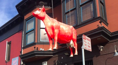 Holy cow! SoMa bar Holy Cow has closed, will be rebranded as Eve