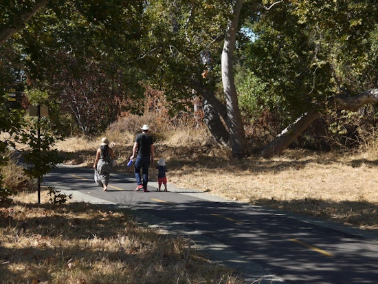 Controversial tiny-home site approved in North San Jose might be on designated park land