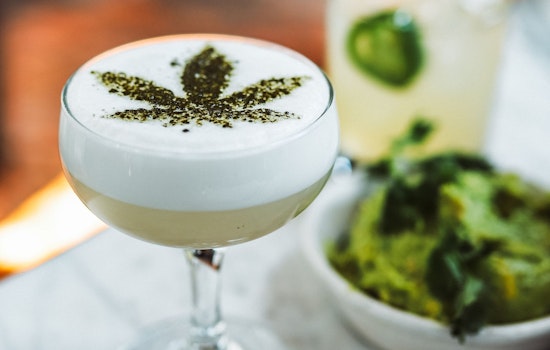 Matt Haney's Cannabis Cafe Bill Passes California State Assembly with Resounding Support