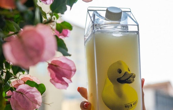 San Francisco's Top 11 Blended, Frozen Cocktails of 2023, per SFist
