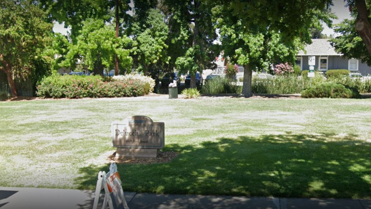 Pleasanton City Council Pumps $1.9M into Lions Wayside & Delucchi Parks Revamp