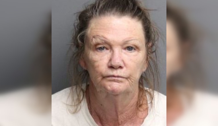 67-Year-Old Woman Arrested for Shooting Boyfriend in Riverside County