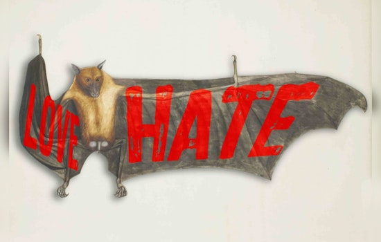 Bats Take Flight at Peabody Essex Museum: Exhibition Explores Art, Science, and Iconic Characters in Salem, Massachusetts