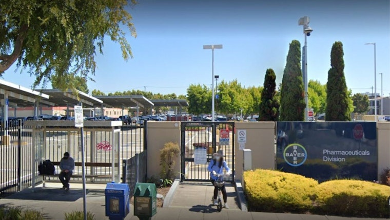 Bayer Boosts Biotech with $250M Investment in Berkeley Cell Therapy Manufacturing Facility