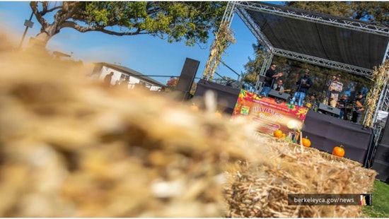 Berkeley's Annual Harvest Festival, a Celebration of Sustainable Food Culture and Urban Farming