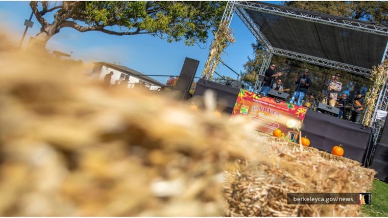 Berkeley's Annual Harvest Festival, a Celebration of Sustainable Food Culture and Urban Farming