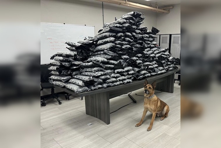 K-9 Rocco Sniffs Out Record 498-Pound Marijuana Bust Near Chicago