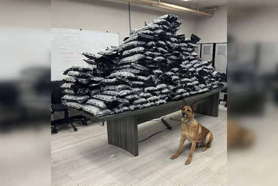 K-9 Rocco Sniffs Out Record 498-Pound Marijuana Bust Near Chicago