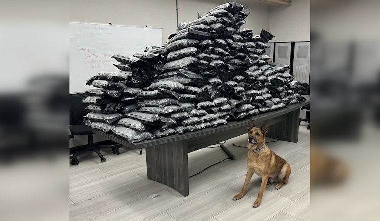 K-9 Rocco Sniffs Out Record 498-Pound Marijuana Bust Near Chicago