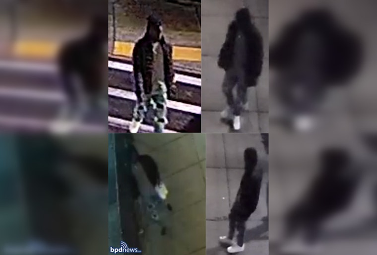 Boston PD Seeks Assistance in Tracking Vehicle Vandalism Culprit in Roxbury
