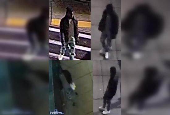Boston PD Seeks Assistance in Tracking Vehicle Vandalism Culprit in Roxbury