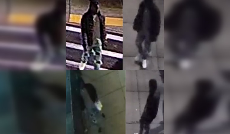 Boston PD Seeks Assistance in Tracking Vehicle Vandalism Culprit in Roxbury