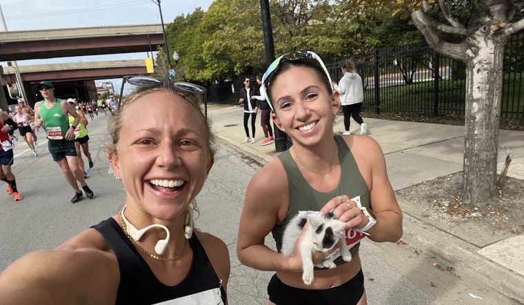 Boston's Sarah Bohan Rescues Stray Kitten Mid-Marathon Race