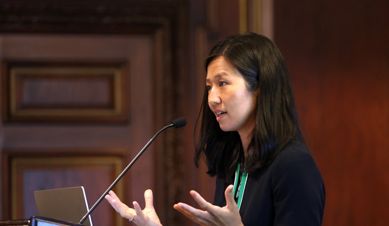 Boston's Urban Forests Flourish with $11 Million Federal Grant Enhancing Green Spaces and Workforce Development