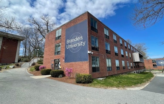 Brandeis University Professor's Daughter, Son-in-law Killed in Hamas Attacks on Israel