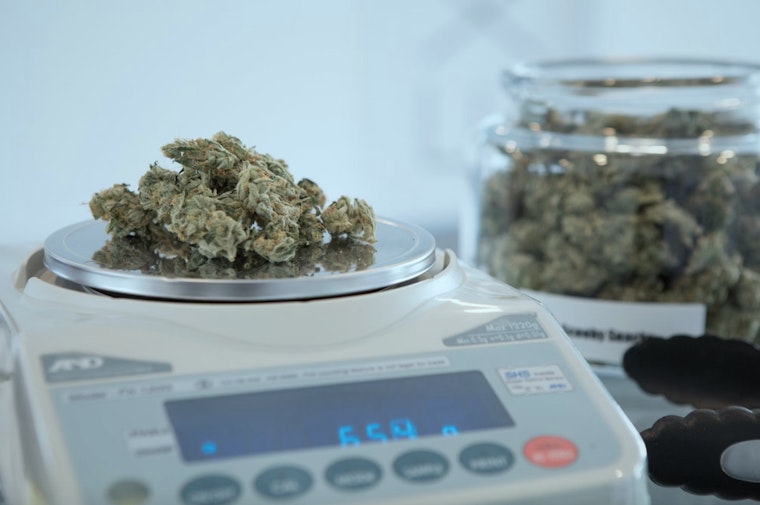 California Governor Newsom Nips Cannabis Cafe Bill in the Bud, What Does This Mean for LA?