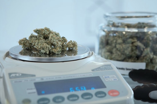 California Governor Newsom Nips Cannabis Cafe Bill in the Bud, What Does This Mean for LA?